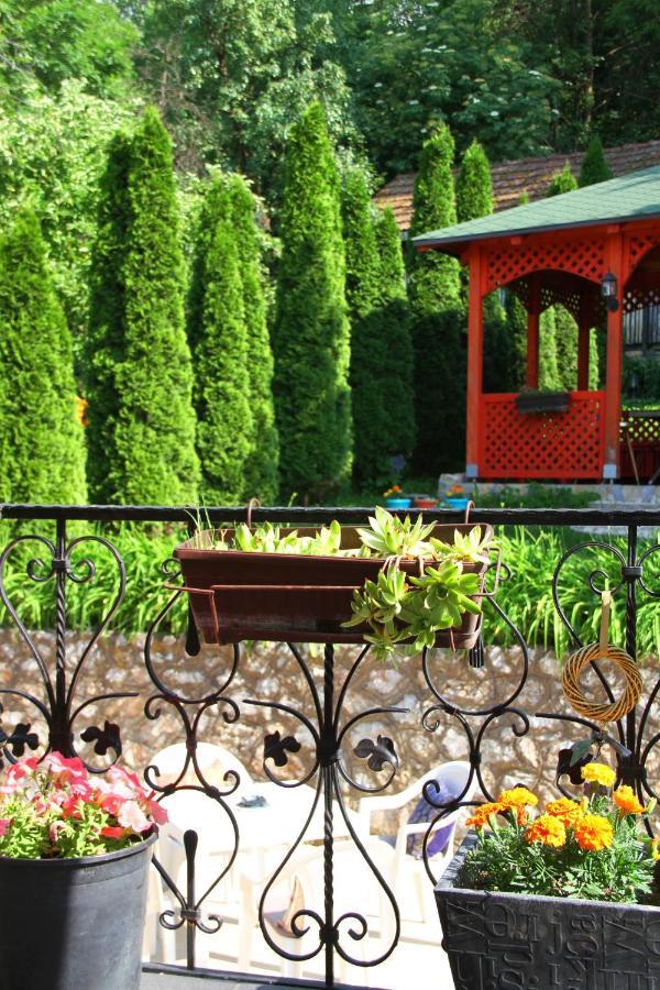 Downtown Green Oasis Apartments Сараєво Екстер'єр фото